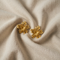 איזולד – צורות שקופות